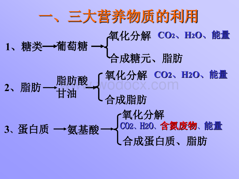 九年级科学体内物质的动态平衡1.ppt_第3页