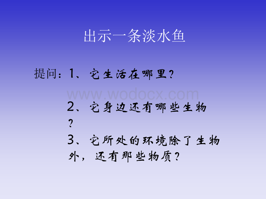 九年级科学生态系统3.ppt_第2页