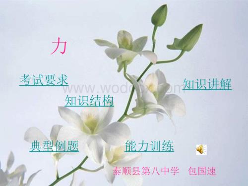 九年级科学力2.ppt