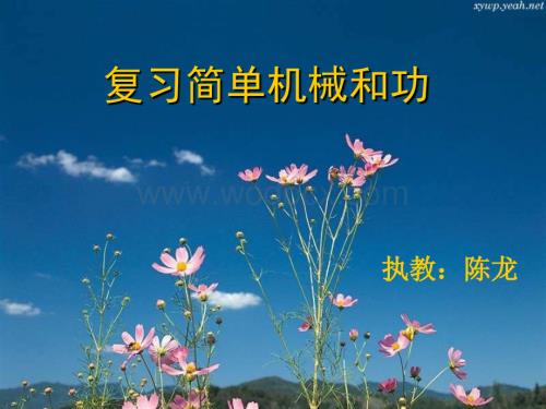 九年级物理简单机械1.ppt