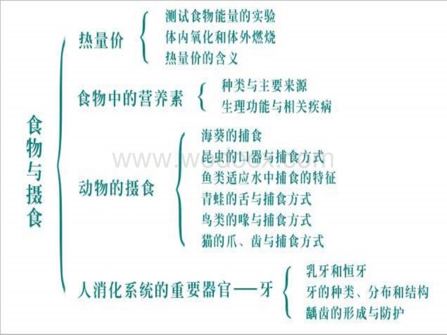 九年级科学上第四章复习资料.ppt_第1页