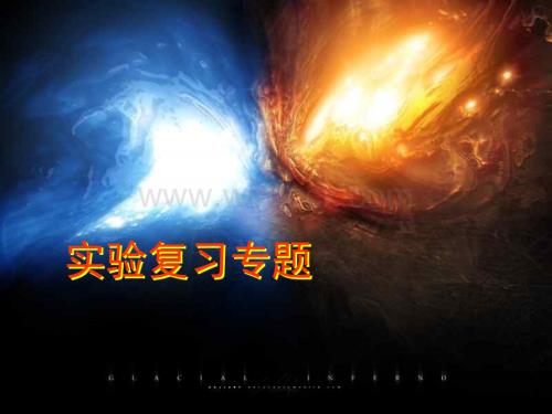 九年级科学实验复习专题.ppt