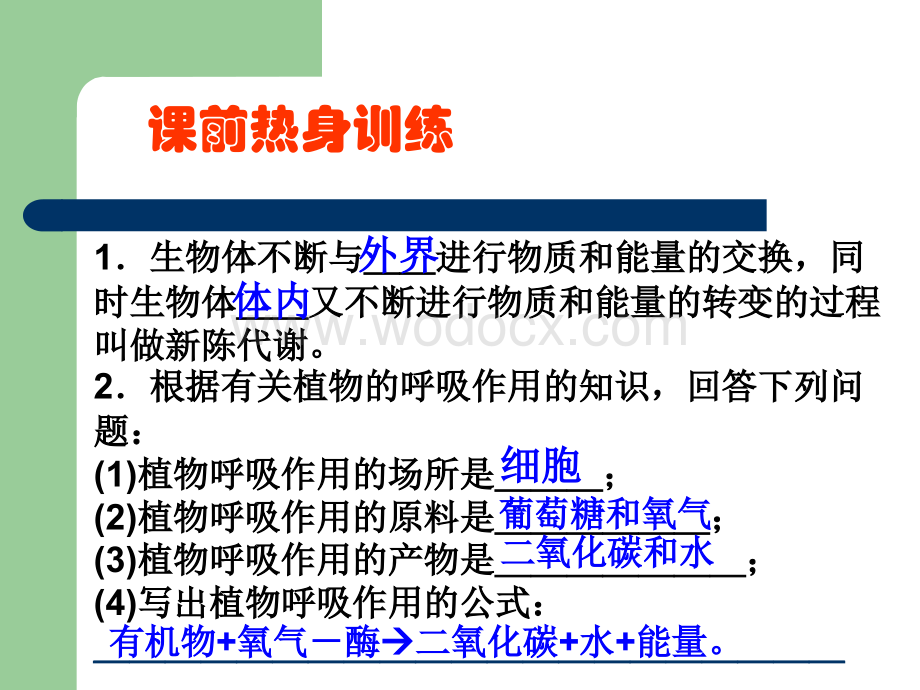 九年级科学绿色植物的新陈代谢2.ppt_第2页