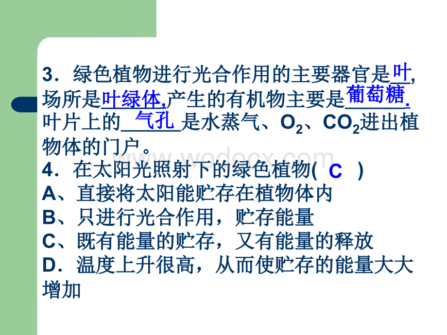 九年级科学绿色植物的新陈代谢2.ppt_第3页