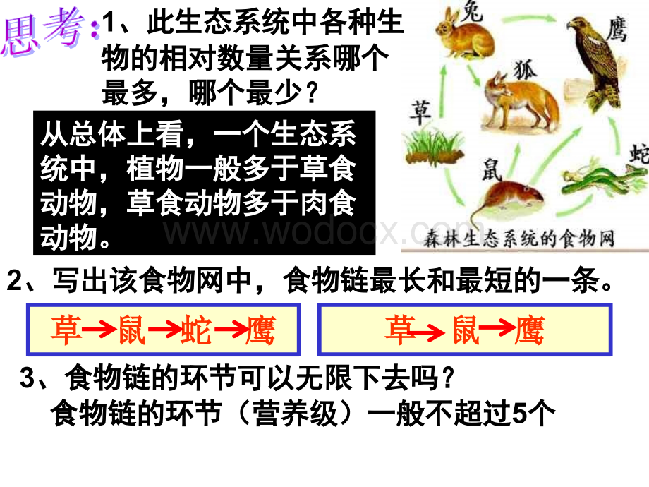 九年级科学生态系统4.ppt_第1页