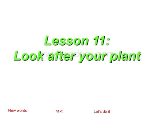 冀教英语八年级下Lesson 11课件2.ppt