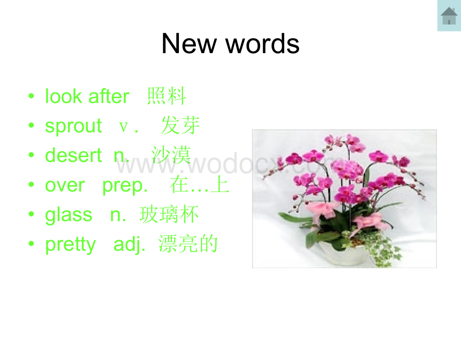 冀教英语八年级下Lesson 11课件2.ppt_第2页