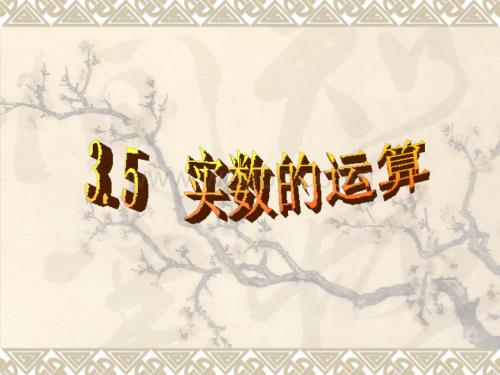 浙江省绍兴县杨汛桥镇中学七年级数学上册《3.5 实数的运算》课件.ppt