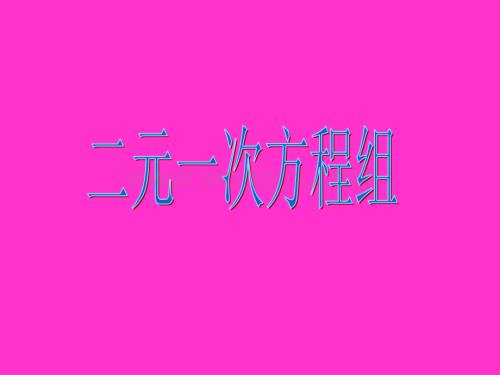 浙教版七年级下 4.2 二元一次方程组 课件.ppt