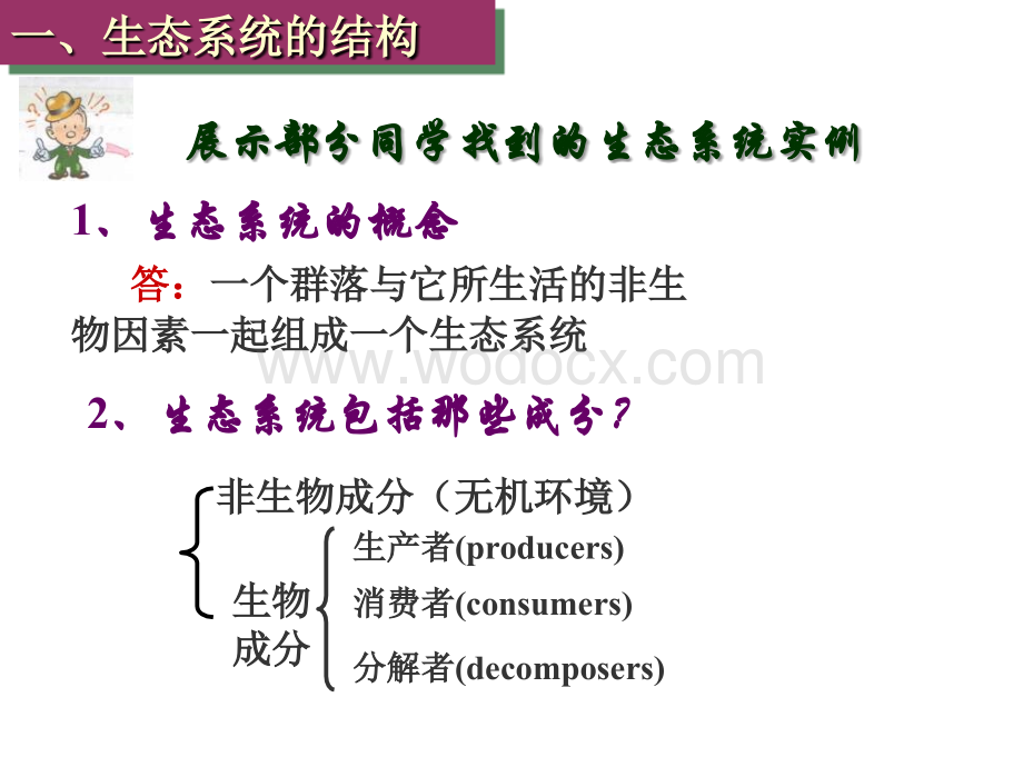 九年级科学生态系统1.ppt_第3页