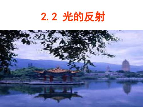 人教版八年级《光的反射》200909.ppt