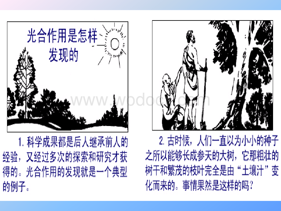 苏教版初一生物光合作用.ppt_第2页