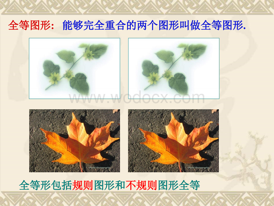 华师大版八年级上全等三角形.ppt_第2页