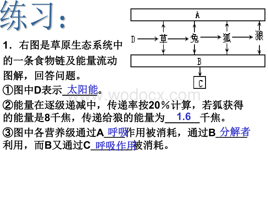 九年级科学生态系统稳定性.ppt_第2页