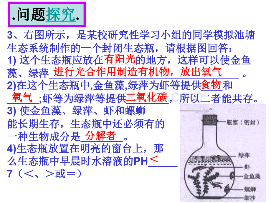 九年级科学生态系统稳定性.ppt_第3页