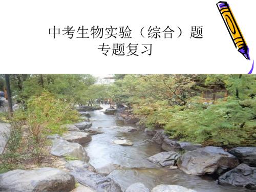 九年级科学生物实验复习课件.ppt