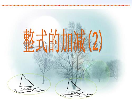 浙江省绍兴县杨汛桥镇中学七年级数学上册《4.6 整式的加减（2）》课件.ppt