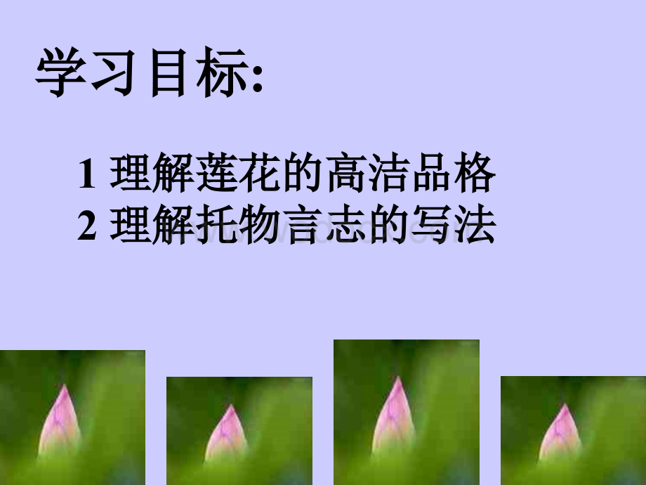 苏教版七年级语文爱莲说.ppt_第2页