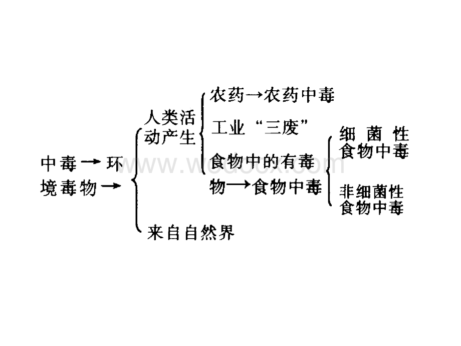 九年级科学食物中毒.ppt_第1页