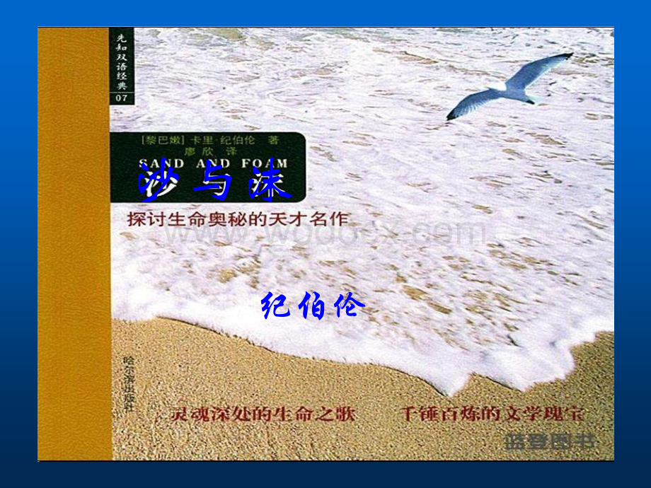 长春版语文七年级下《沙与沫》.ppt_第2页