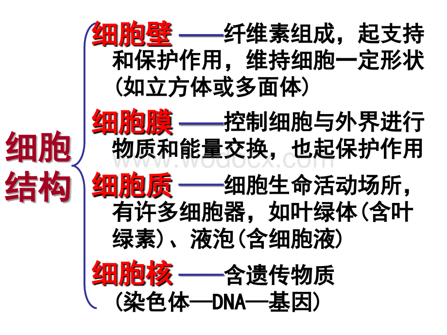 九年级科学生物多样性.ppt_第3页