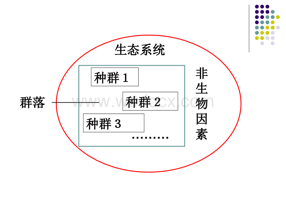 九年级科学生态系统7.ppt_第3页