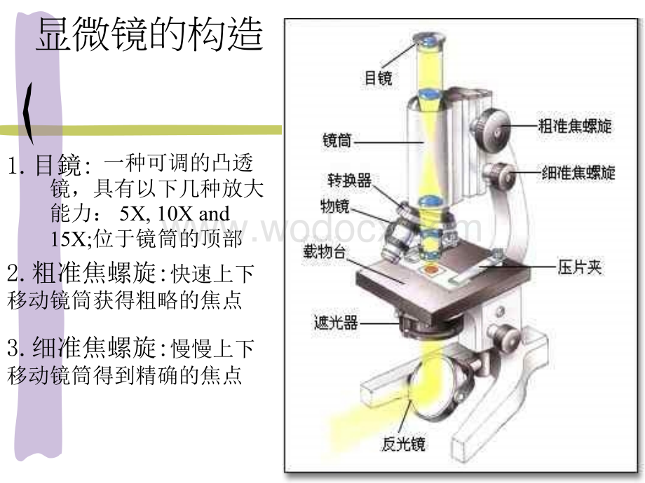 九年级科学显微镜的构造和使用方法.ppt_第1页