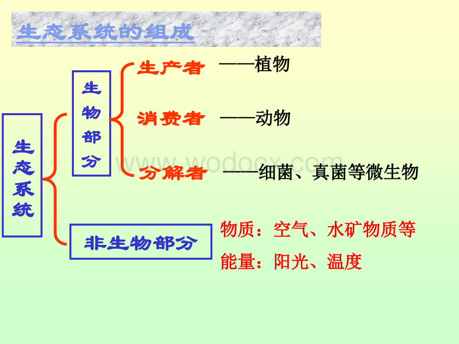 七年级科学生态系统4.ppt_第3页