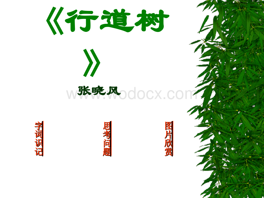 鲁教版六年级下册《行道树》PPT课件2.ppt_第2页