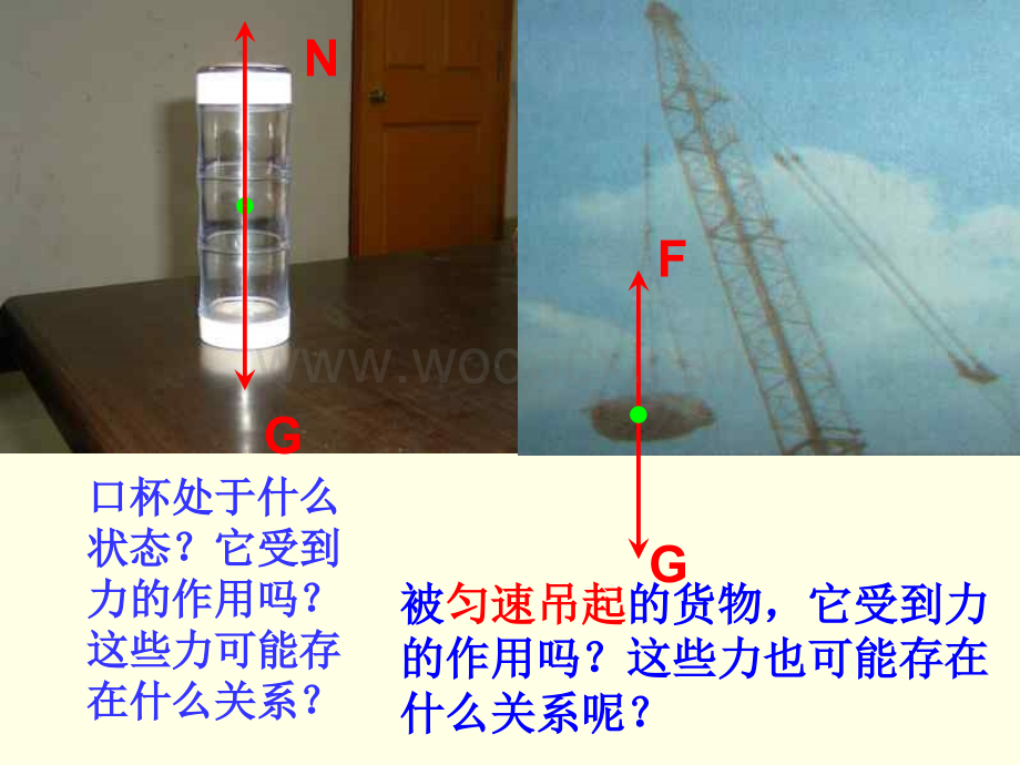 七年级科学两力平衡的条件.ppt_第3页