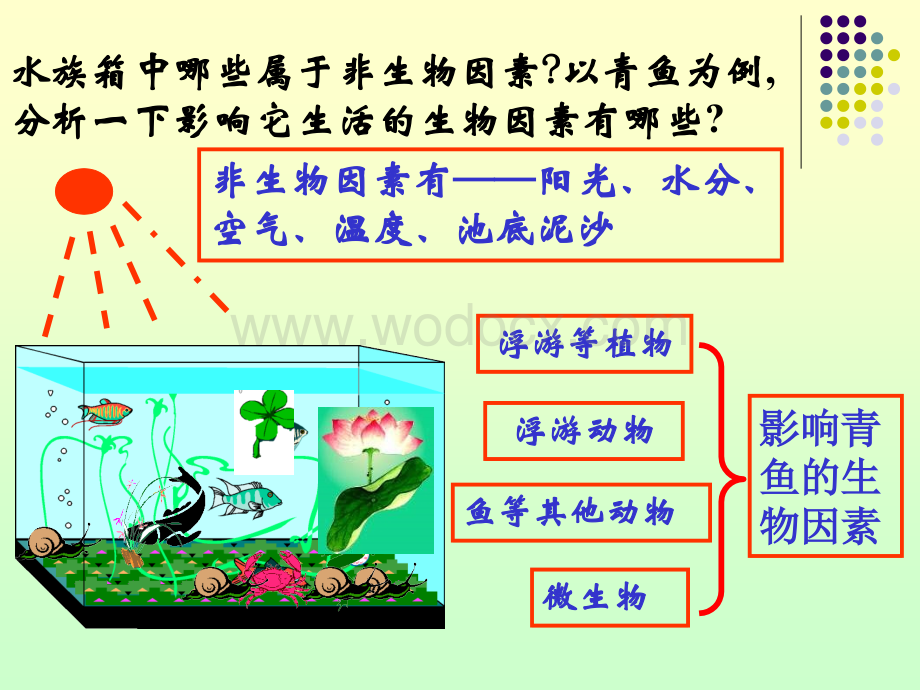 七年级科学生态系统5.ppt_第3页