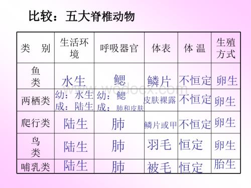 七年级科学无脊椎动物分类.ppt