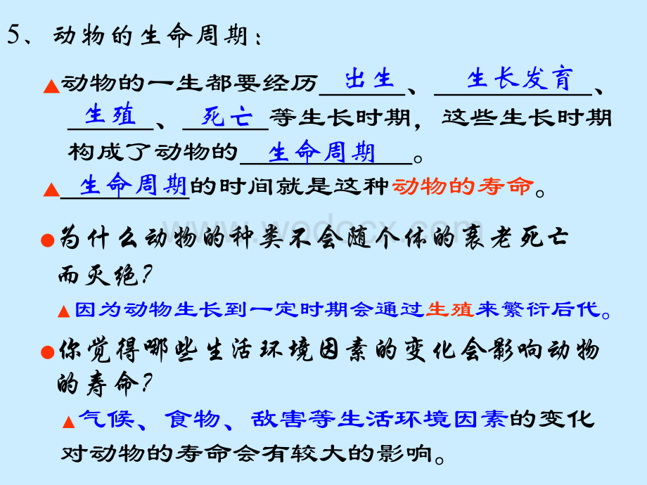 七年级科学代代相传的生命.ppt_第3页