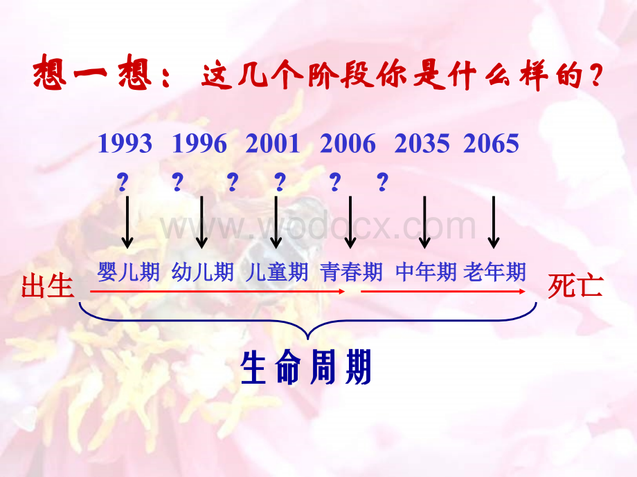 七年级科学动物的生命周期.ppt_第2页