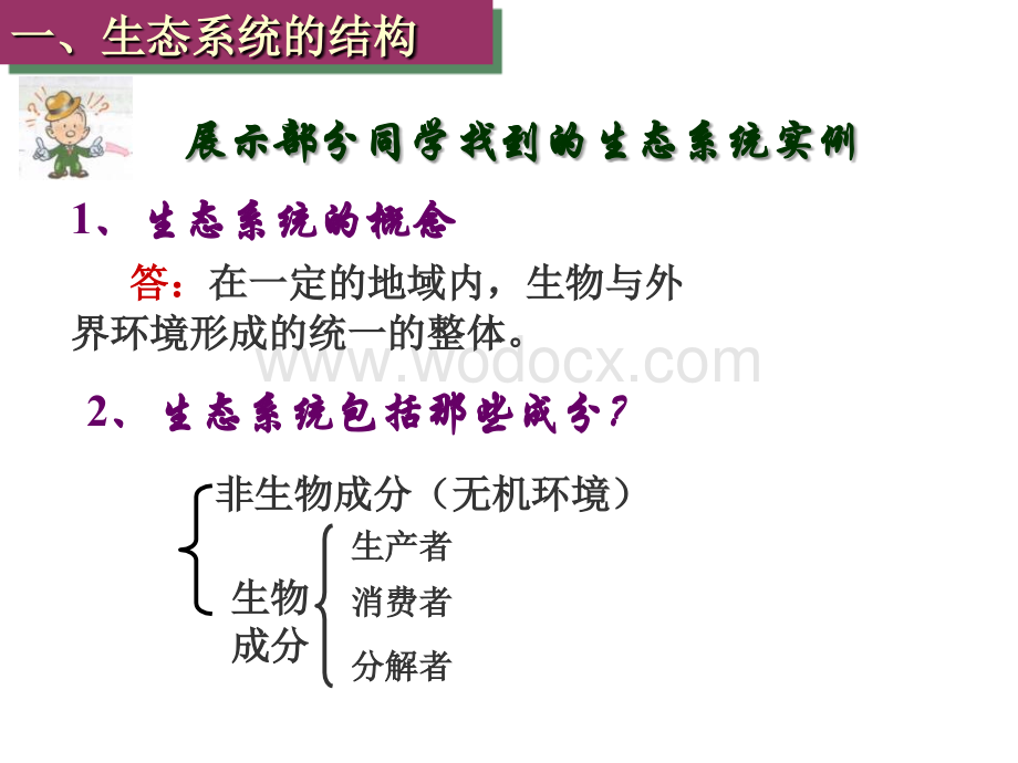 七年级科学生态系统3.ppt_第3页