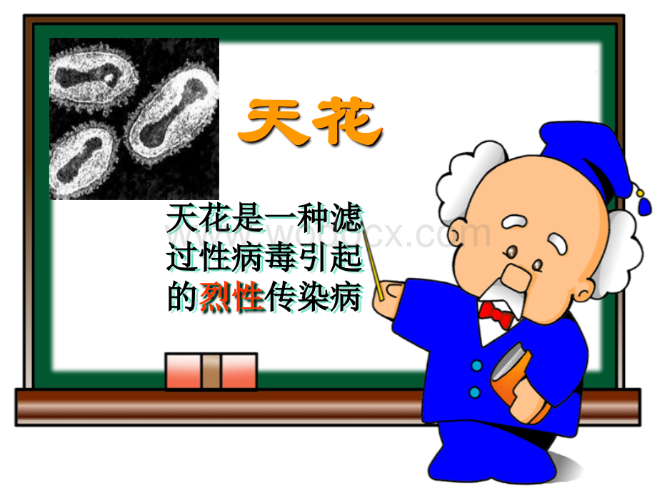 七年级科学科学探究.ppt_第3页