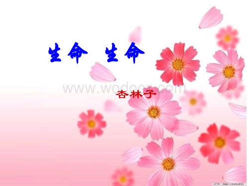 鲁教版六年级上《生命 生命》PPT课件.ppt