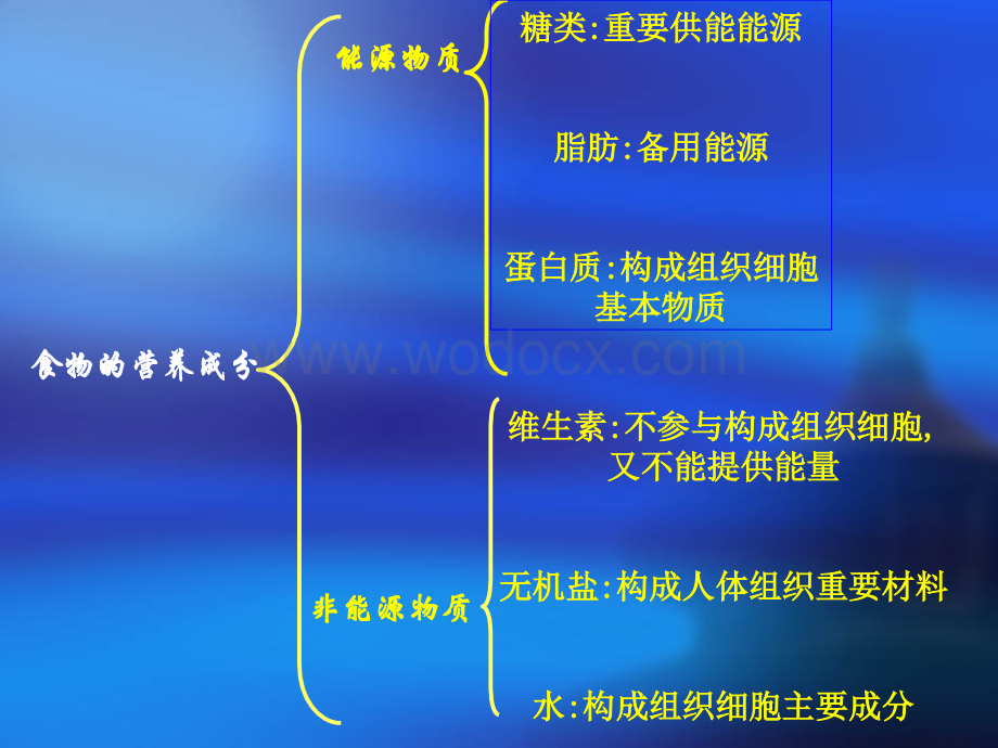 鲁教版七年级生物下册复习.ppt_第2页