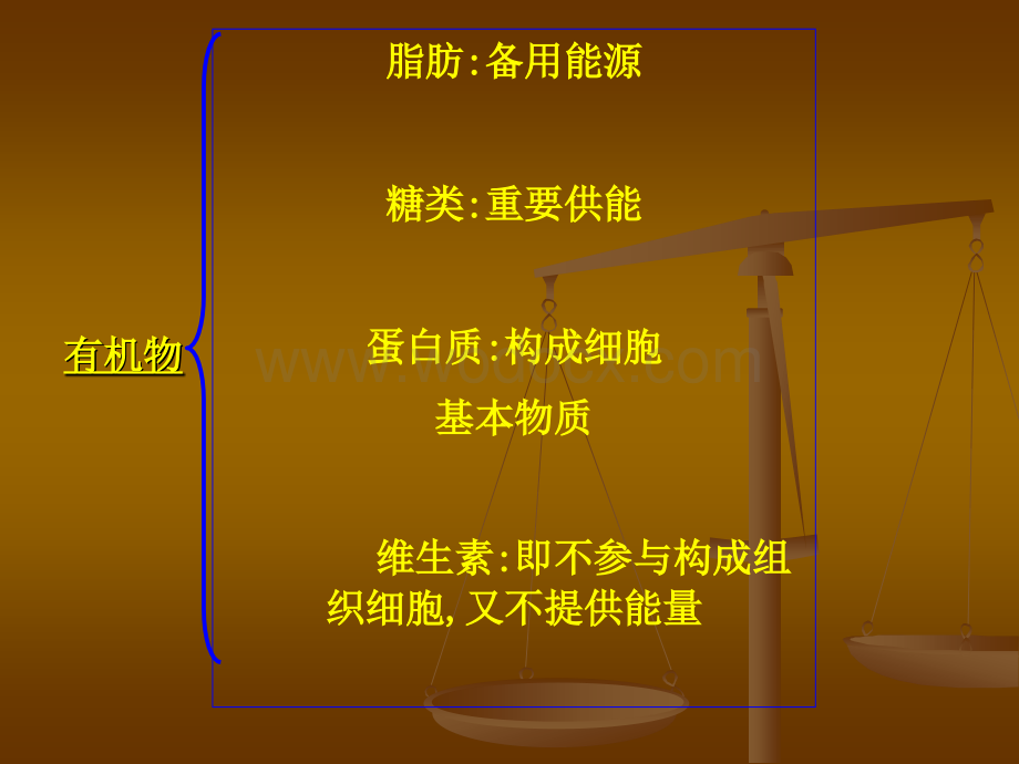 鲁教版七年级生物下册复习.ppt_第3页