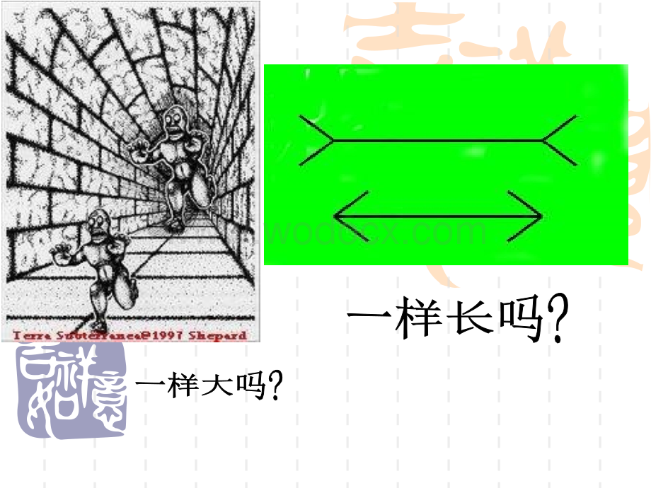 七年级科学观察和实验1.ppt_第3页