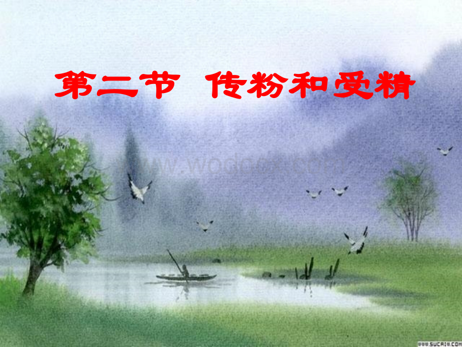 鲁教版七年级生物传粉和受精.ppt_第1页