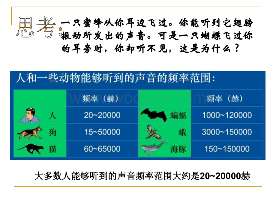 七年级科学音调 音色 响度.ppt_第3页