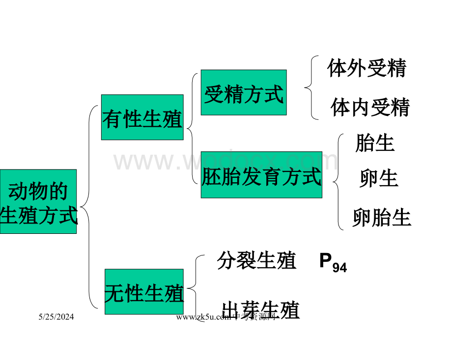 七年级科学代代相传的生命1.ppt_第2页