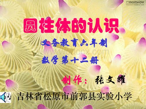 人教版小学六年级数学圆柱体的认识2.ppt
