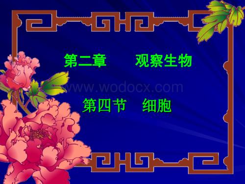七年级科学细胞.ppt