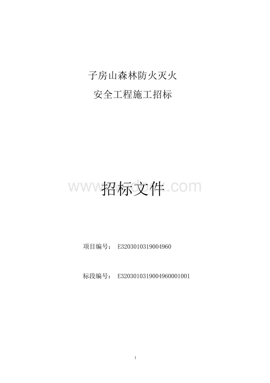 森林防火灭火安全工程招标文件.docx_第3页