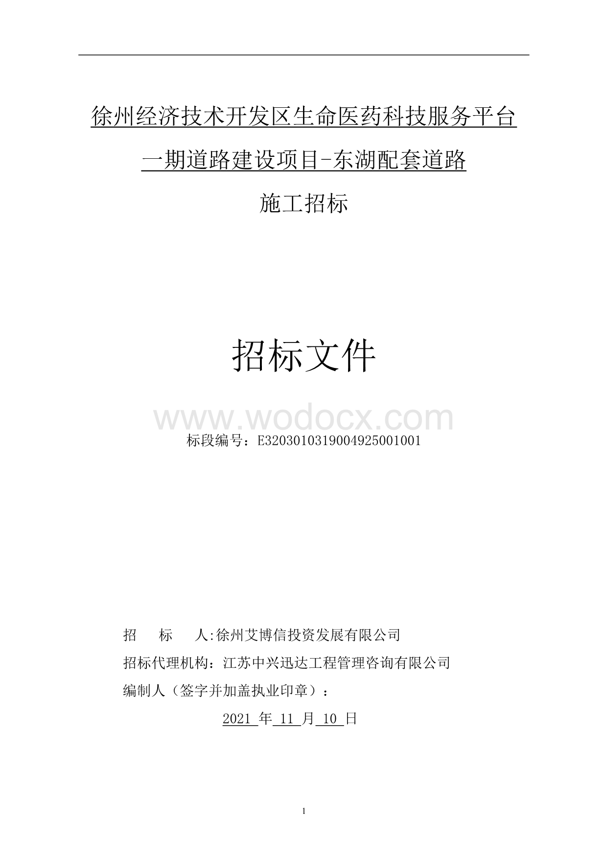 生命医药科技服务平台道路项目招标文件.pdf_第1页