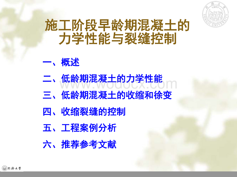 第2章施工阶段早龄期混凝土的力学性能和裂缝控制.pdf_第2页