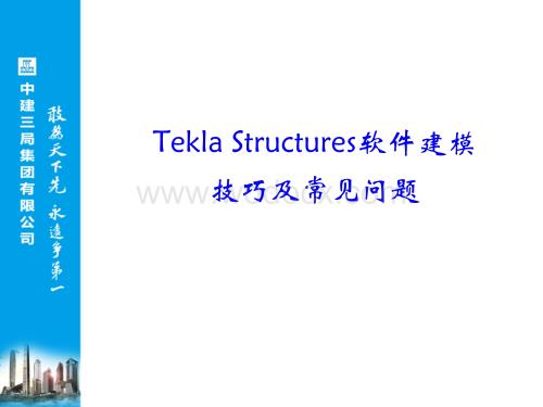 Tekla Structures软件建模技巧及常见问题.ppt