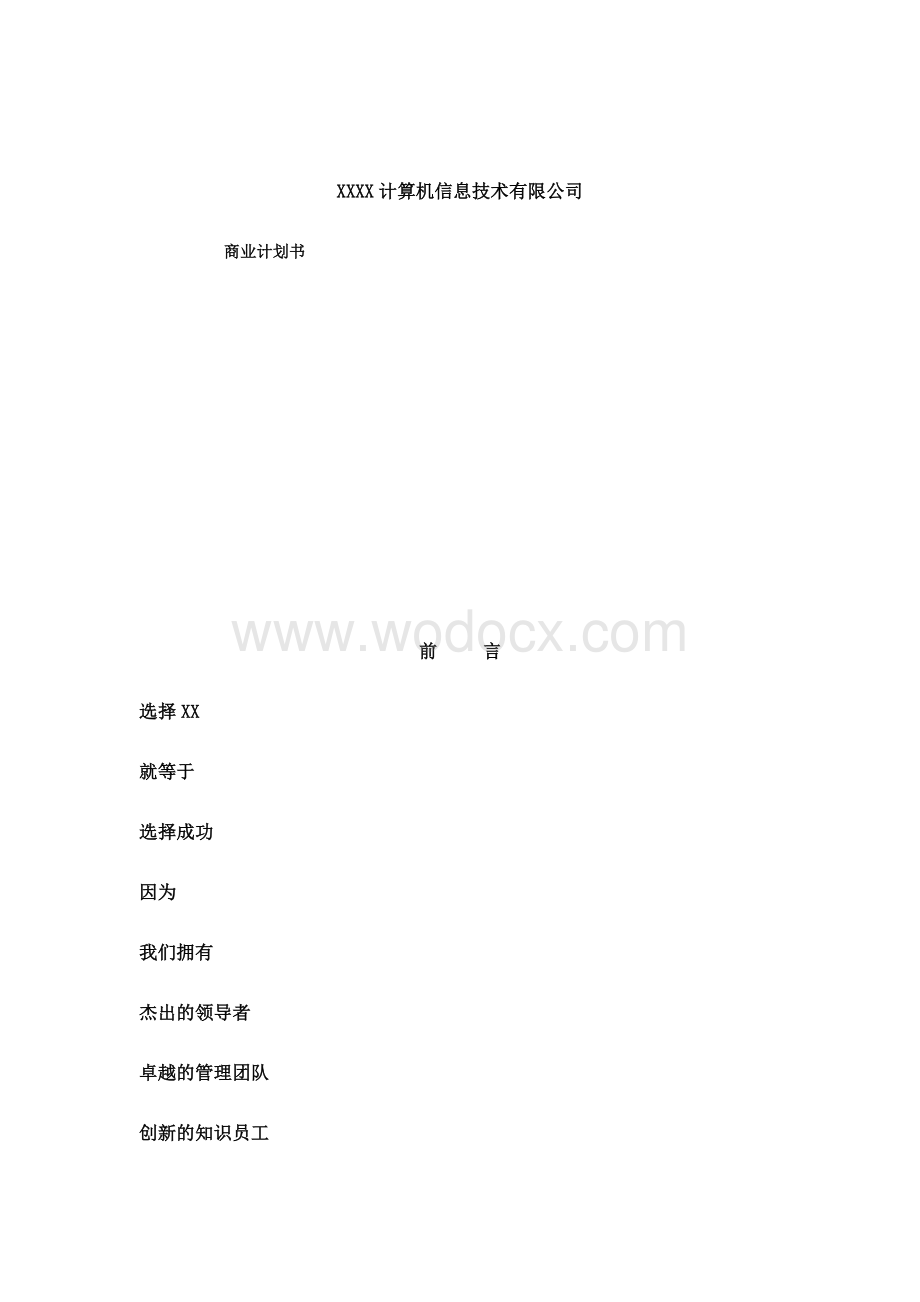 某互联网计算机信息公司商业计划书.doc_第1页